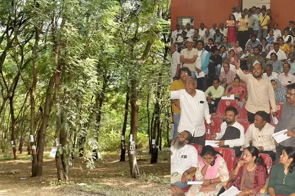 तपोवन वृक्षतोड वाद: अण्णा हजारेंची ठाम भूमिका – “मोठी झाडे तोडणे अयोग्य” 