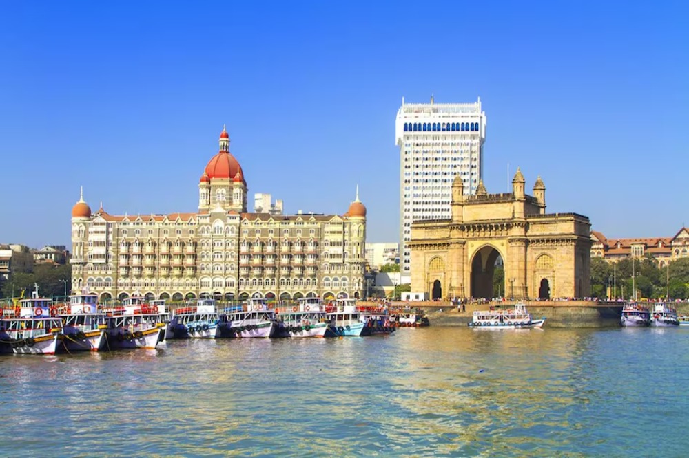 मुंबई कबुतरखाना वाद तापला; मीरा-भाईंदरमध्ये वृद्ध व मुलीवर हल्ला 