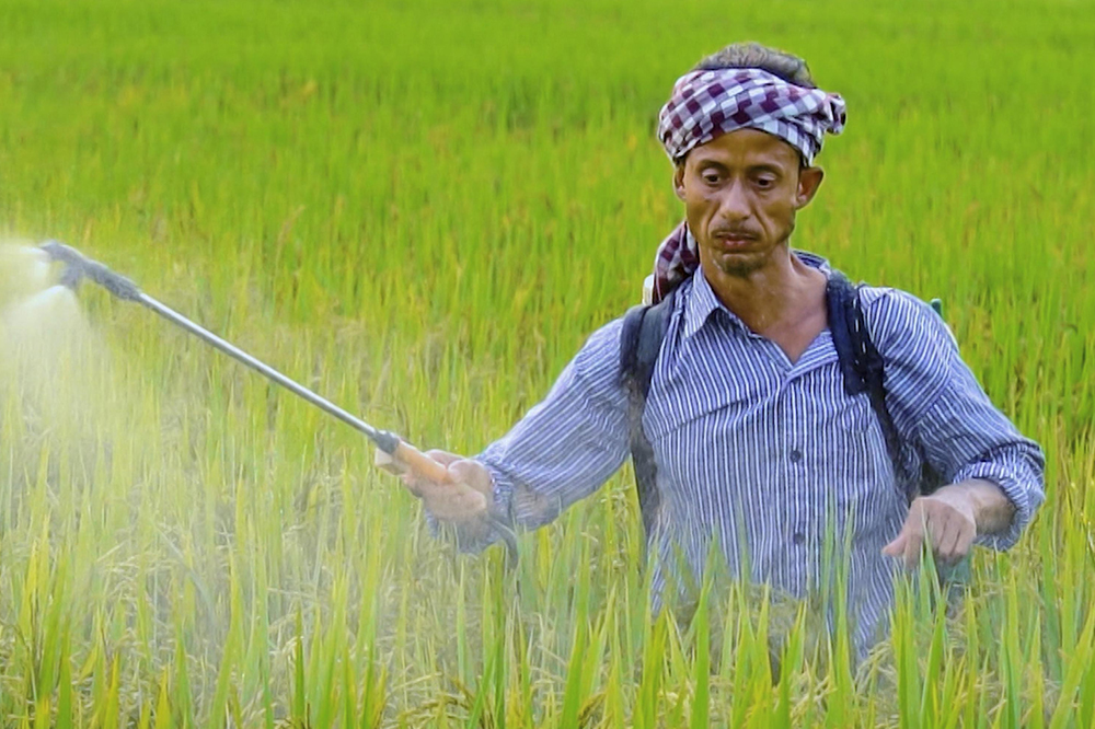 अतिवृष्टीग्रस्त शेतकऱ्यांना दिलासा: 17.29 लाख शेतकऱ्यांचे 26,658 कोटींचे कर्ज पुनर्रचनेस केंद्राची मंजुरी 