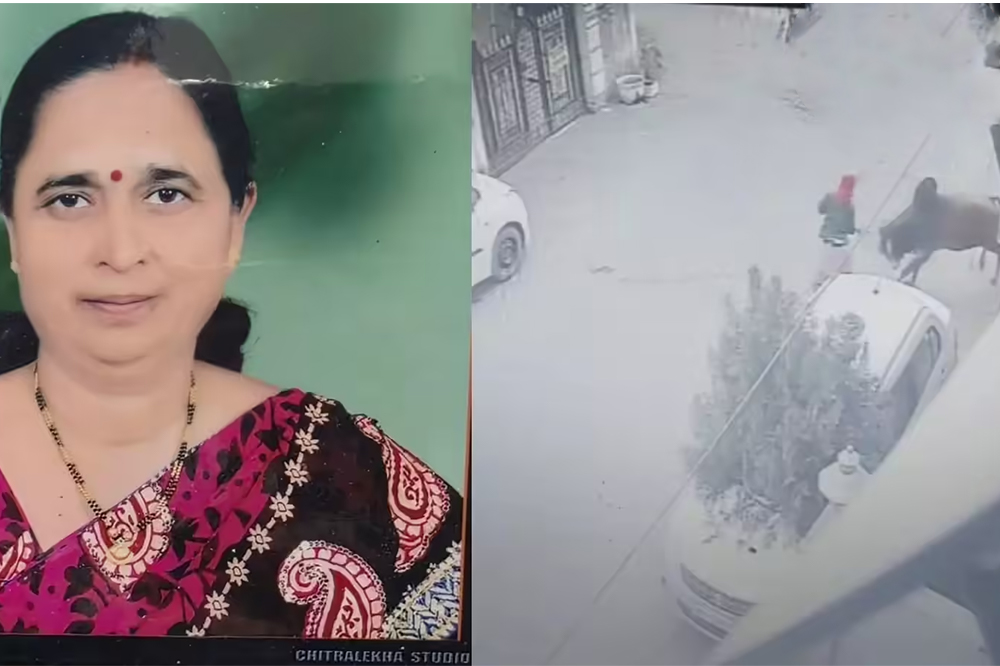 नागपुरात मोकाट वळूचा हल्ला; ६४ वर्षीय महिला गंभीर जखमी 