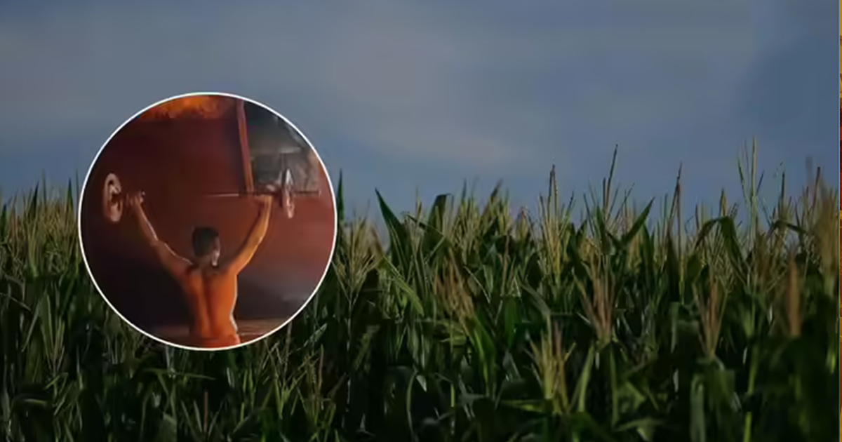 यात्रेच्या दिवशी १६ वर्षीय पैलवान मुलाची आत्महत्या; उळे कासेगावात खळबळ