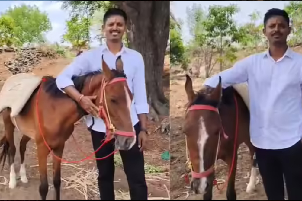 अधिक मासात जावयाला अनोखी भेट! सासऱ्याने दिली सिंधी जातीची घोडी; धाराशिवमध्ये चर्चेला उधाण 