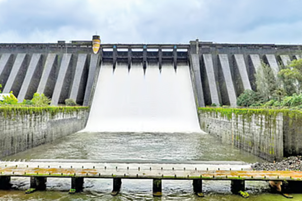 साताऱ्यात पावसाचं थैमान; कोयना धरणात पाण्याची झपाट्याने आवक, अतिवृष्टीचा इशारा, लिंगमळा धबधबा मार्ग बंद 