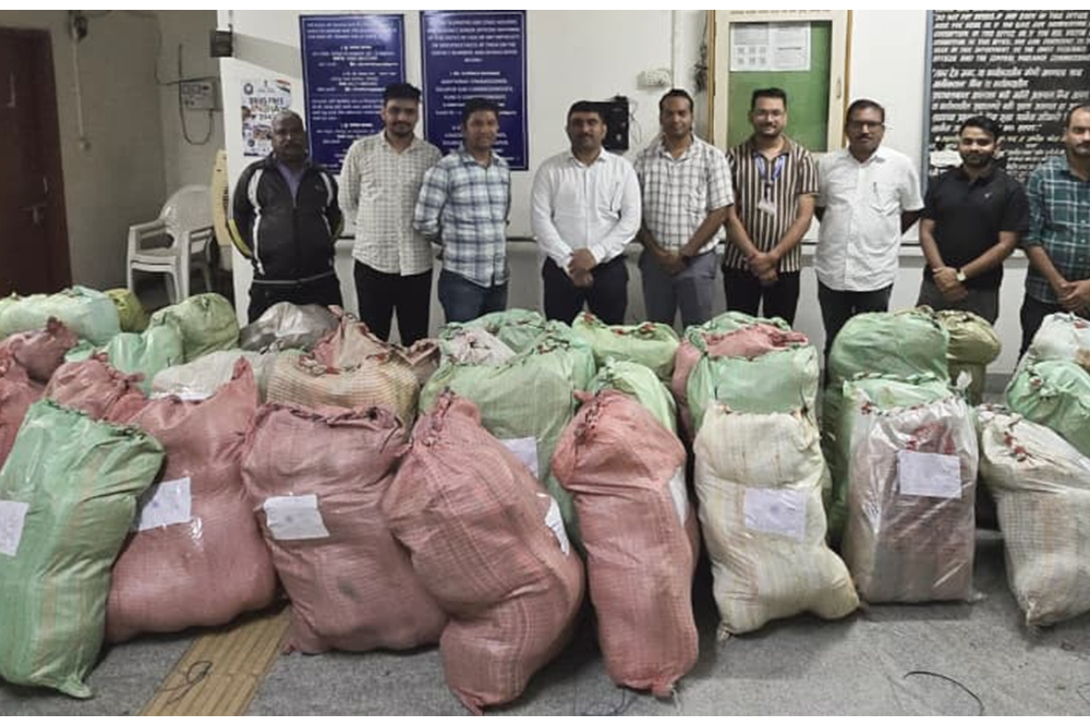 सोलापूरजवळ साडेसहा कोटींचा गांजा जप्त; १३०९ किलो अमली पदार्थासह एकाला अटक 