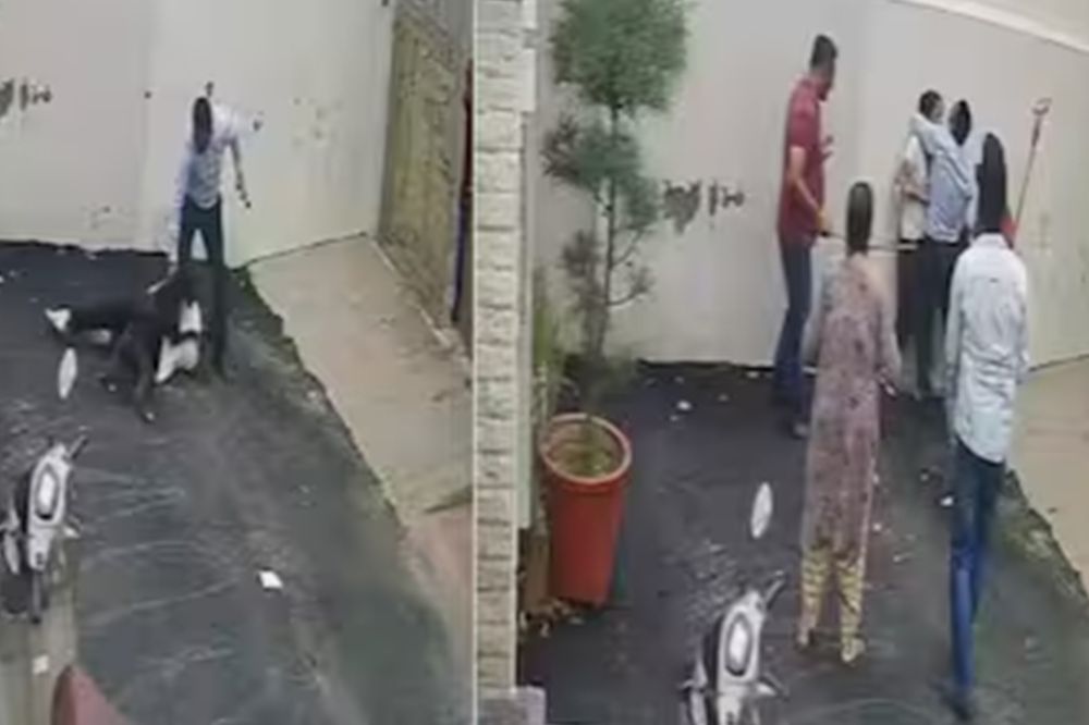 घर पाहायला गेलेल्या पती-पत्नीवर पिटबुलचा थरकाप उडवणारा हल्ला; गंभीर जखमी, CCTV व्हिडीओ व्हायरल 