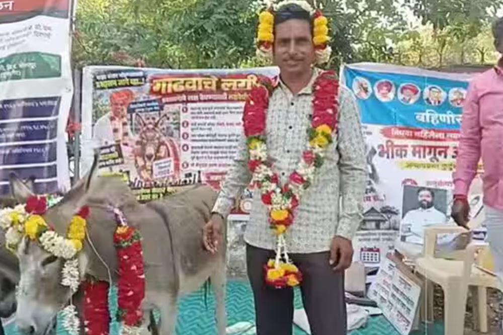 बायको नांदायला येत नसल्याने चक्क गाढवासोबत लग्न; सोलापुरातील अनोख्या आंदोलनाची चर्चा 