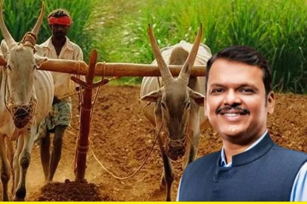 दिवाळीपूर्वी शेतकऱ्यांच्या खात्यात ५ हजार रुपये जमा होणार; मुख्यमंत्री देवेंद्र फडणवीस यांची घोषणा 